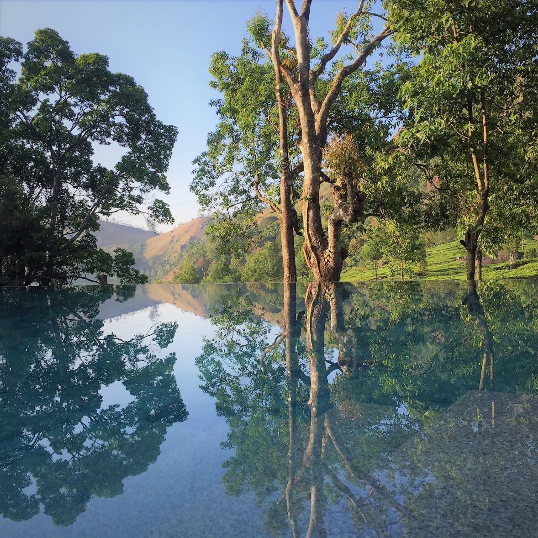 Windermere Estate Munnar Dış mekan fotoğraf